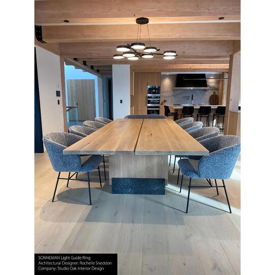 Light Guide Ring 48 Inch LED Large Pendant by SONNEMAN